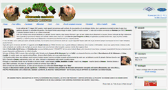 Desktop Screenshot of lostillolabradors.it